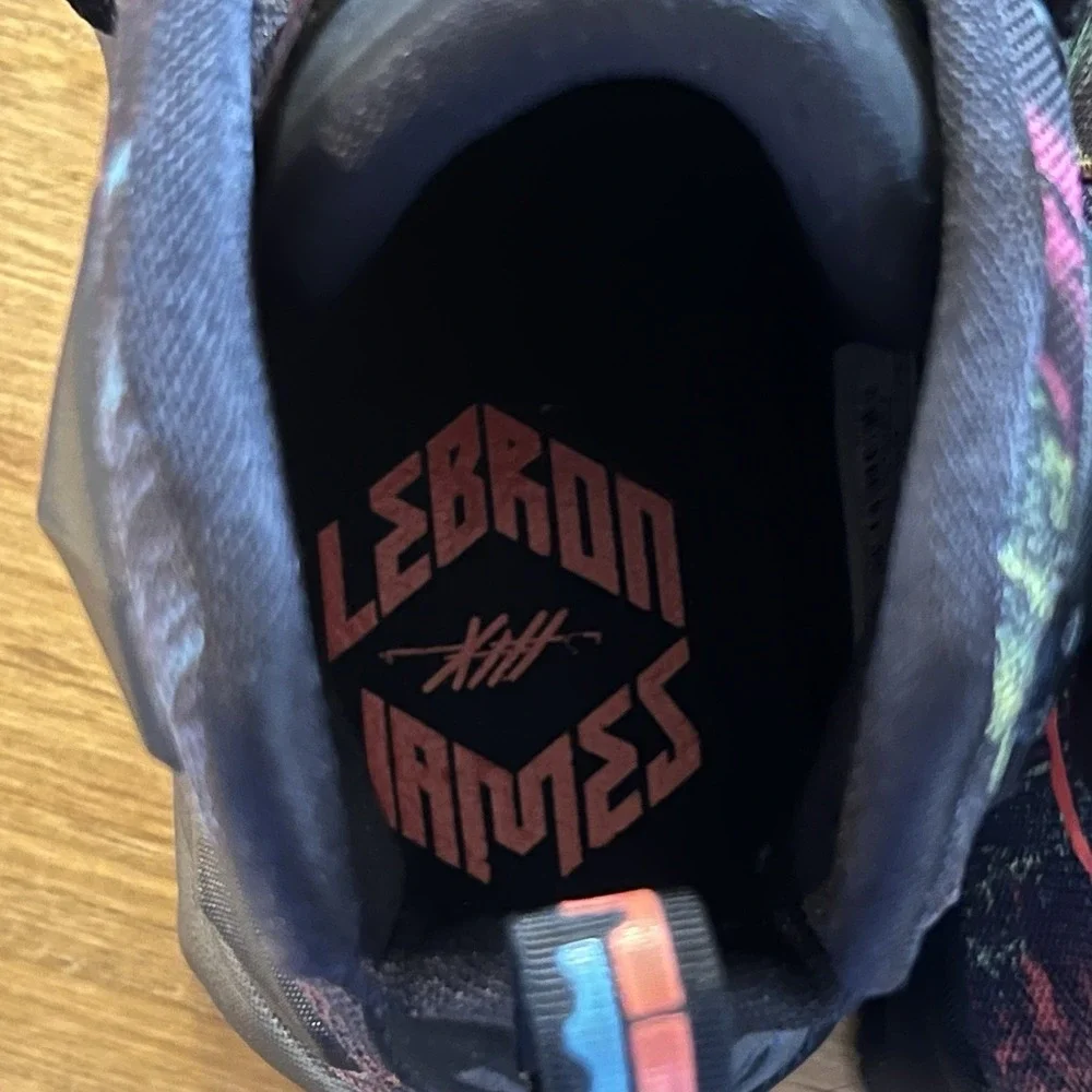 Nike LeBron 13 Akronite Philosophy Basketball‎ High Top Shoes Size Youth 5Y